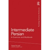 Intermediate Persian: A Grammar and Workbook (Grammar Workbooks)