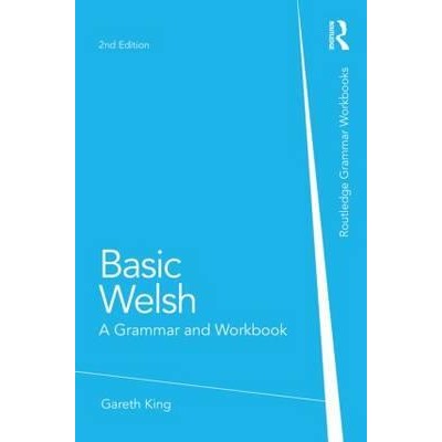 Basic Welsh: A Grammar and Workbook 