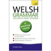 Welsh Grammar You Really Need to Know: Teach Yourself