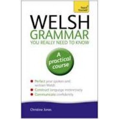 Welsh Grammar You Really Need to Know: Teach Yourself