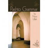 Pashto Grammar (Paperback)